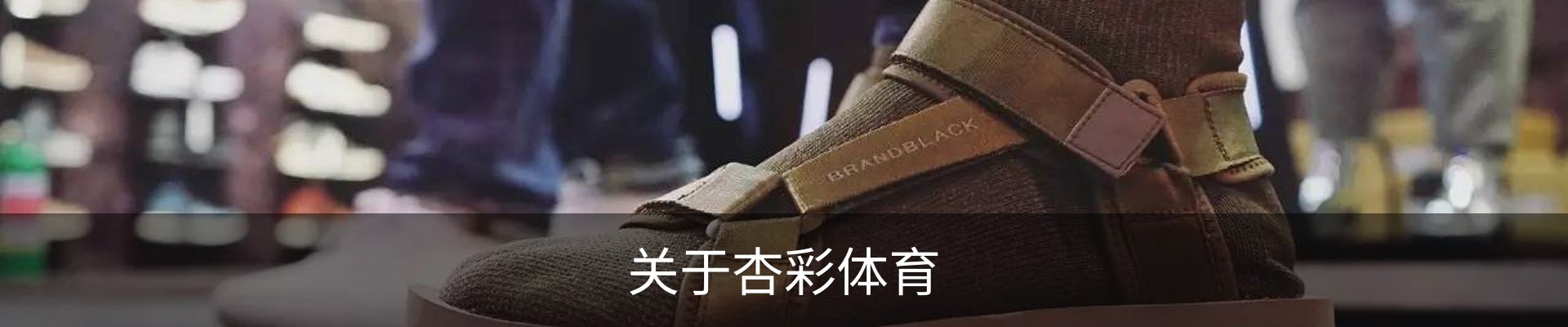 关于杏彩体育